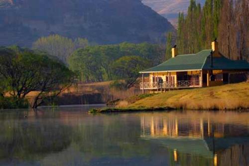 Royal Coachman in Clarens, South Africa