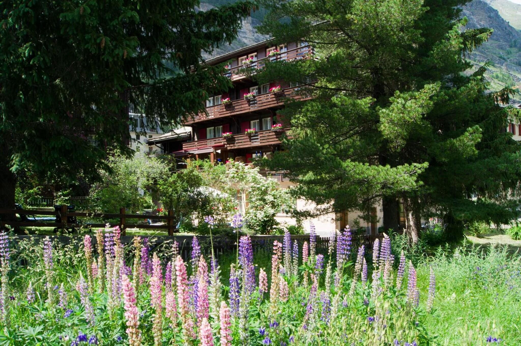 Hotel Alpina - last minute hotel in Zermatt