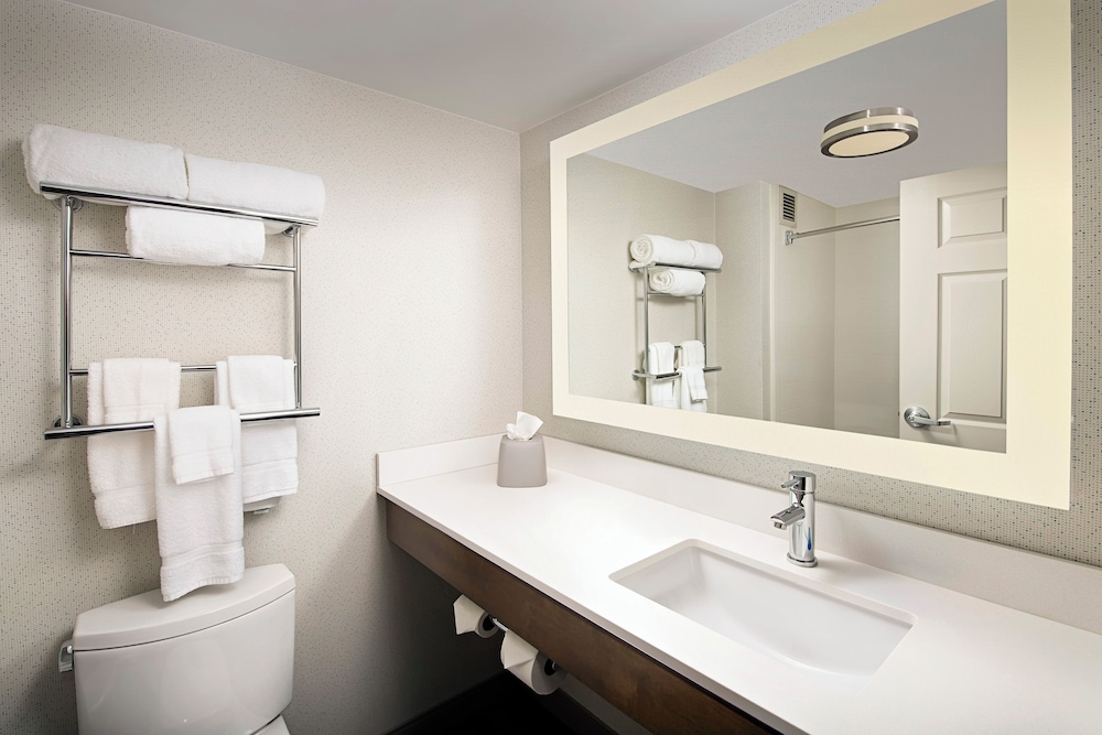 Holiday Inn Express & Suites Baltimore BWI Airport North by IHG - photo 10