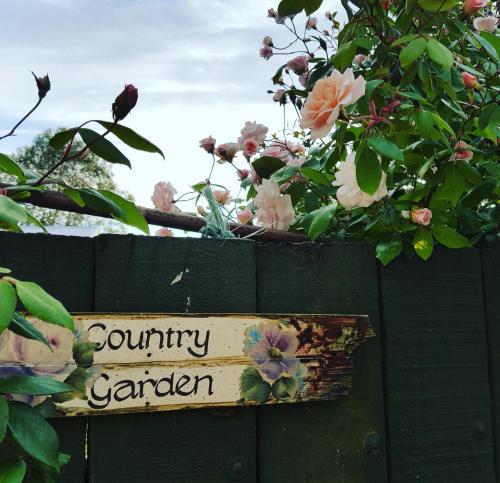 Dragonflycottagebnb in Blenheim, New Zealand