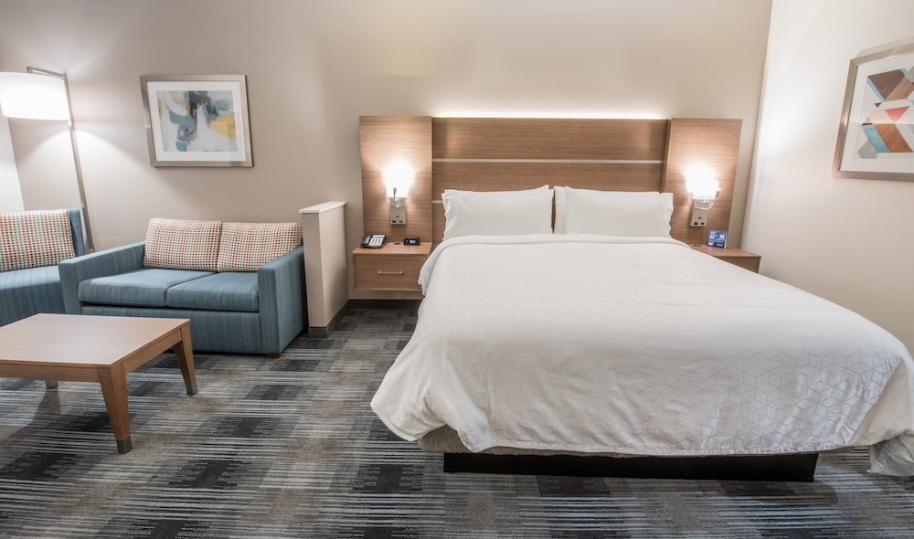 Holiday Inn Express and Suites Houston Westchase Westheimer by IHG - photo 19