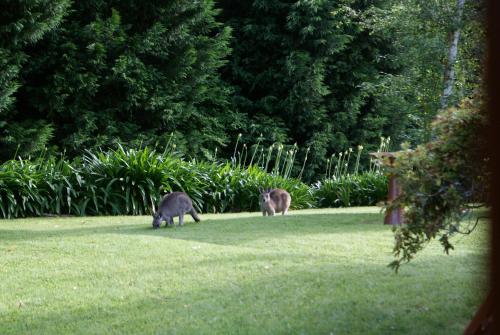Bundanoon @2578 — 4-Star Luxury Hotel in Bundanoon, Australia