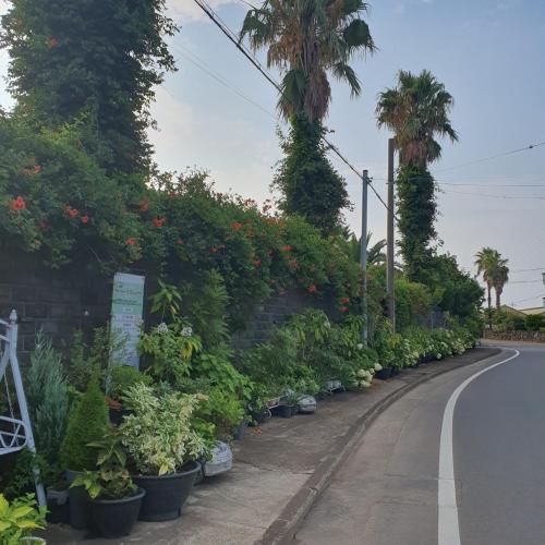 Samojeong Jeju — Jeju City — photo 4