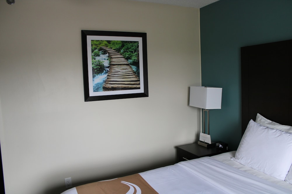Quality Inn Mount Pleasant - photo 11