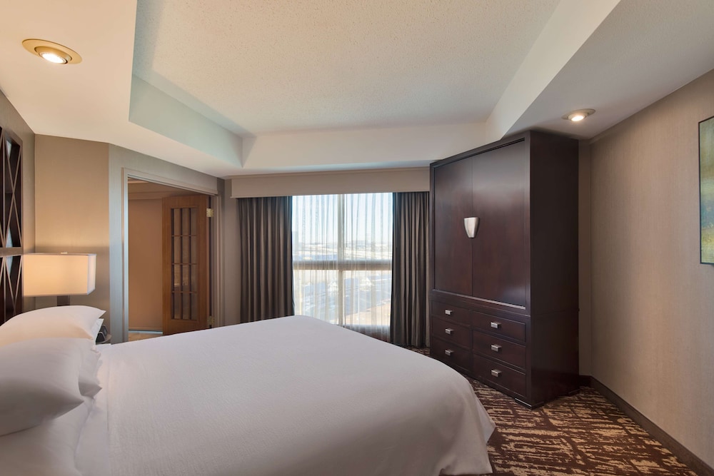Embassy Suites by Hilton Dallas Frisco Hotel & Convention Center - photo 15