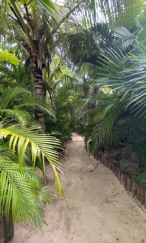 Lumilek Tulum - last minute hotel in Tulum