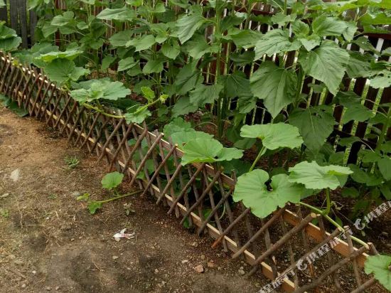 Erguna Xinweiji’s House in E'erguna, People's Republic of China