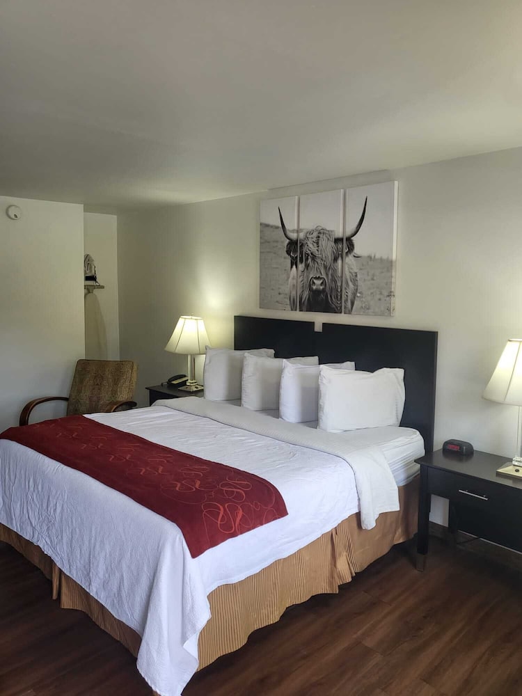 Pine Tree Inn - photo 20