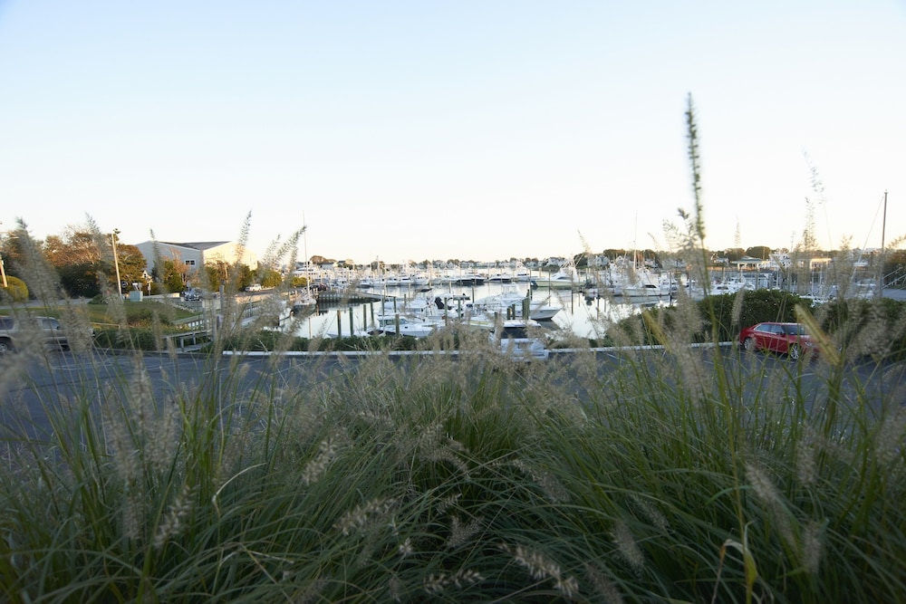 Anchor In Distinctive Waterfront Lodging - photo 35