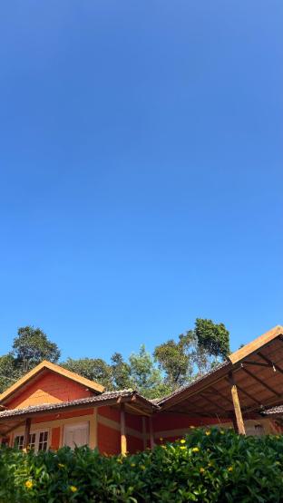 Coorg hill view stay — Suntikoppa — photo 2
