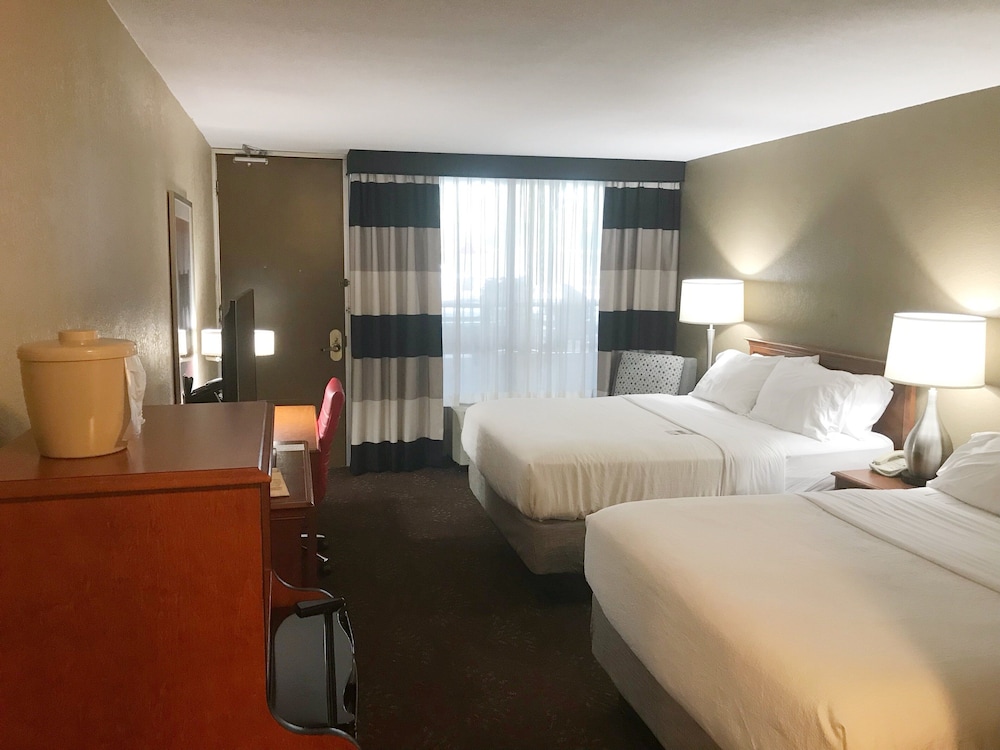 Holiday Inn Alexandria by IHG - photo 8