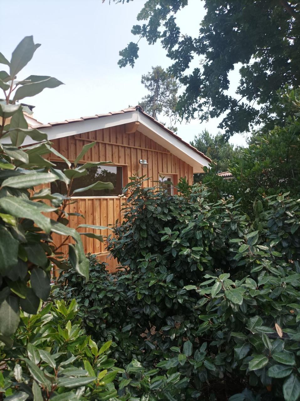 Les Bambous — hotel in Vendays-Montalivet