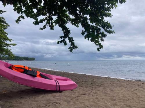 Baki Divers and Beach Resort pet-friendly hotel Dauin