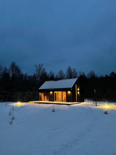 Forestic Lietuva — Unknown City — photo 4