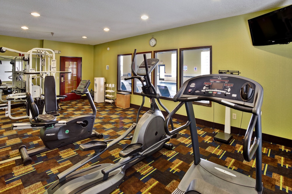 Holiday Inn Express Hotel & Suites Woodhaven by IHG - photo 44
