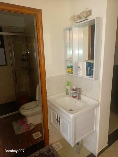 Elegant cozy two bedroom apartment with swimming pool well equipped gym ample parking space children playing ground and amazing city views