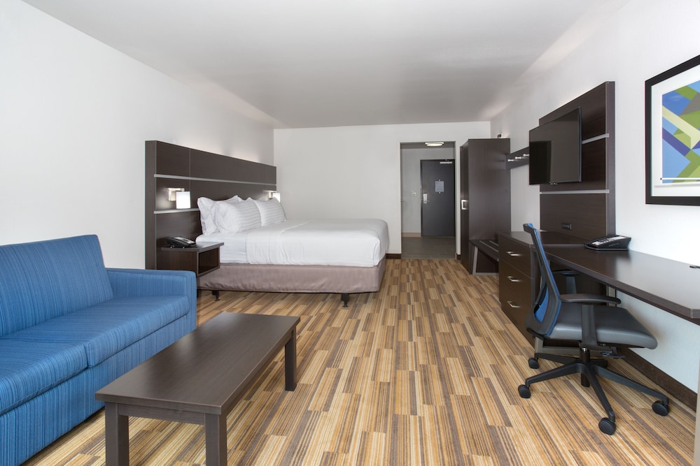 Holiday Inn Express & Suites Rapid City Rushmore South by IHG - photo 13