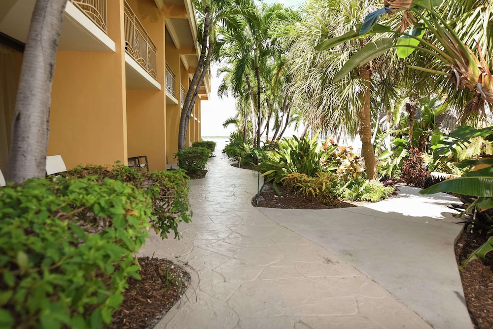 Hampton Inn Key Largo Manatee Bay - photo 50
