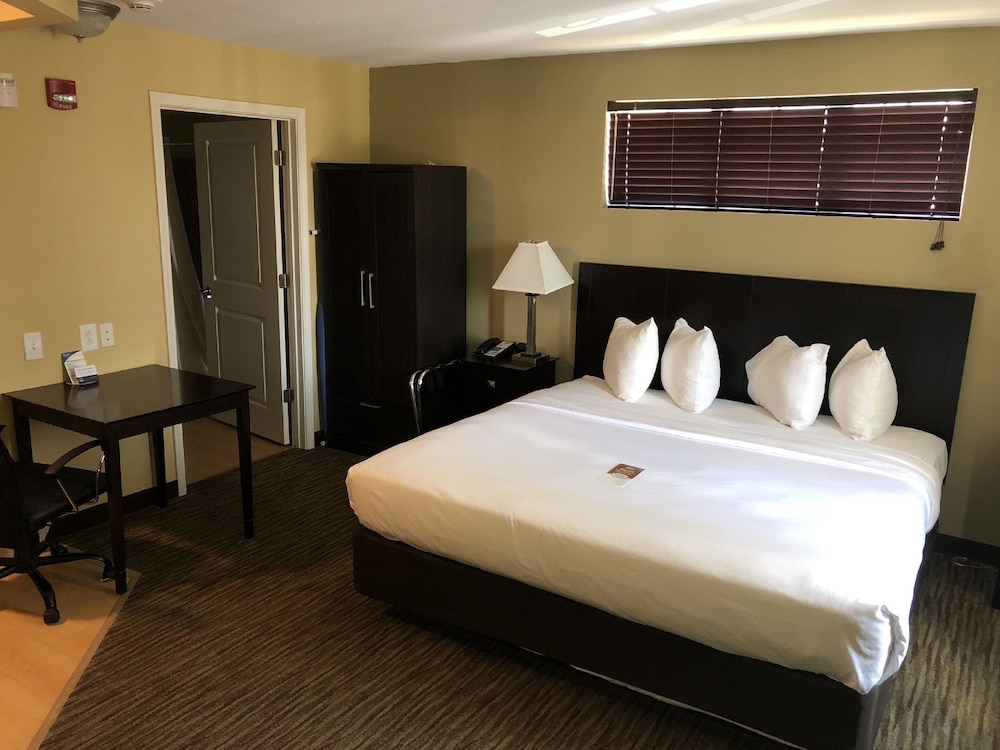 MainStay Suites Jacksonville near Camp Lejeune - photo 6