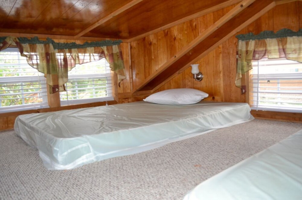 Yogi Bear's Jellystone Park Camp Resort - photo 6