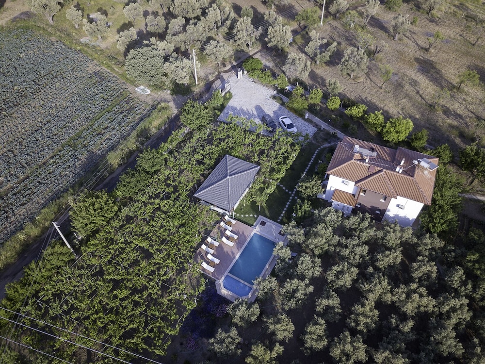 Grape Datca in Datca, Turkey