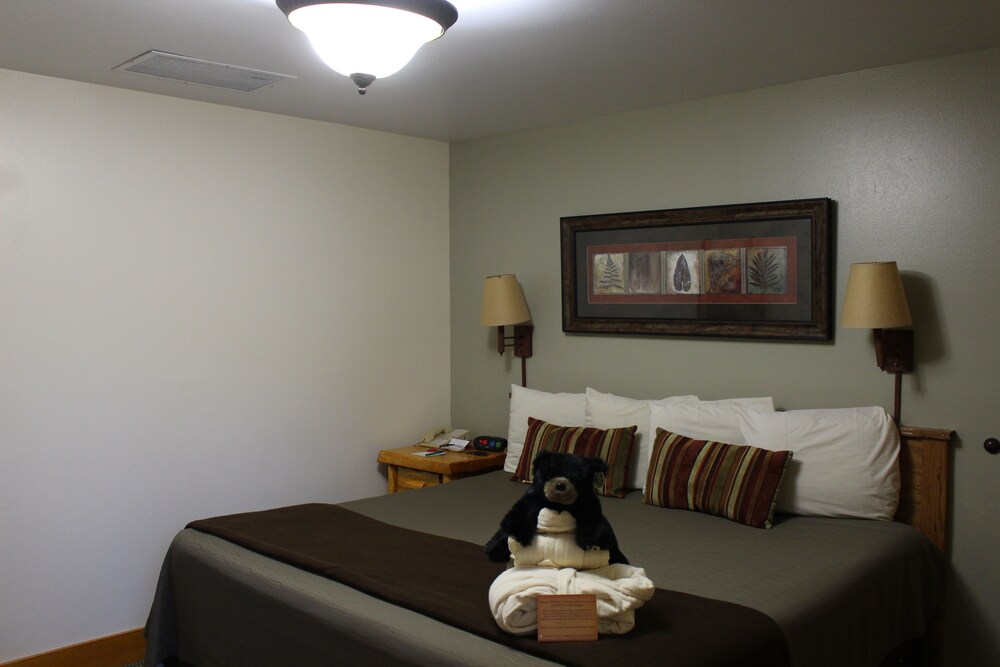 Spearfish Canyon Lodge - photo 44