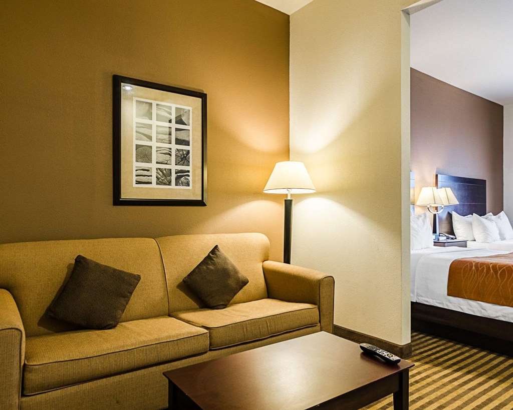 Comfort Inn & Suites Lawrence University Area - photo 21