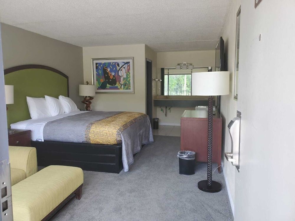 Palmetto Inn & Suites - photo 10