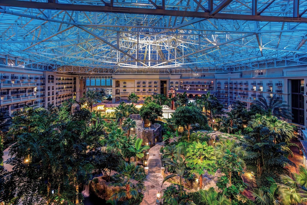 Gaylord Palms Resort & Convention Center - photo 101