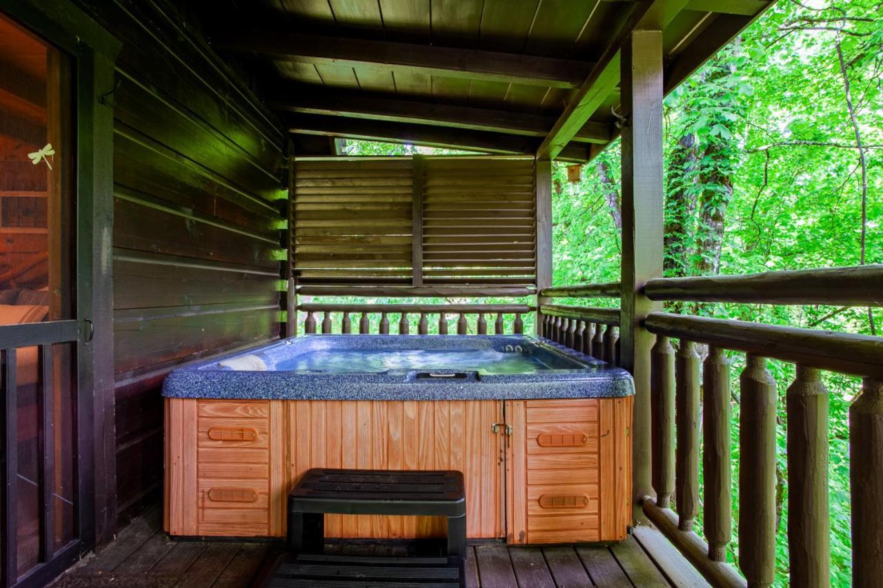 Bear Hugs Hot Tub 2 Fire Pits and Fireplace - photo 24