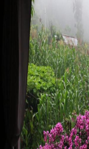 Aranya Baas By StayApart — hotel in Mirik