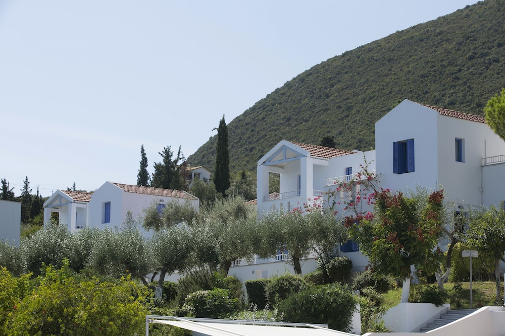 מראה חיצוני