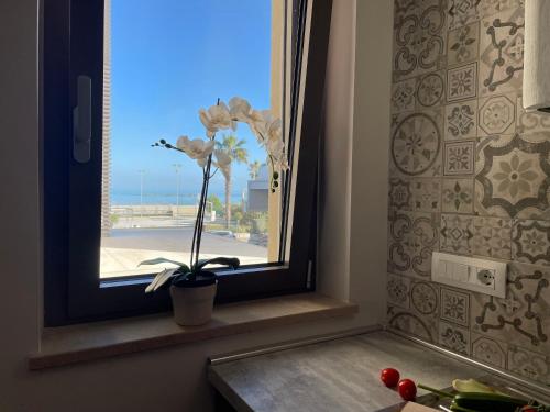 Casa vacanza Alba Marina 2 — 4-Star Luxury Hotel in Roseto Degli Abruzzi, Italy