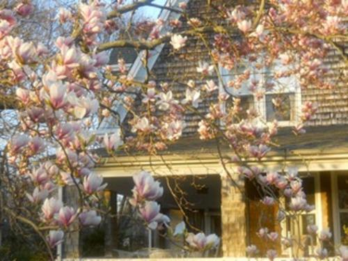 Orient Inn - photo 24