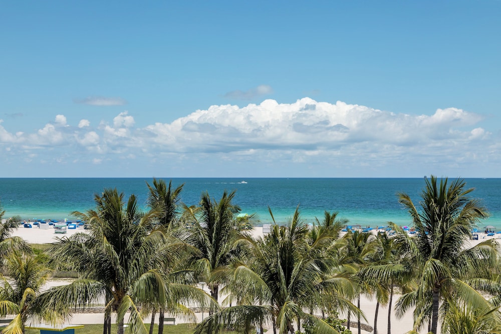 Park Central South Beach - photo 99