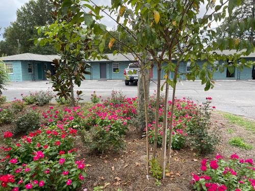 Carole Motel - photo 3