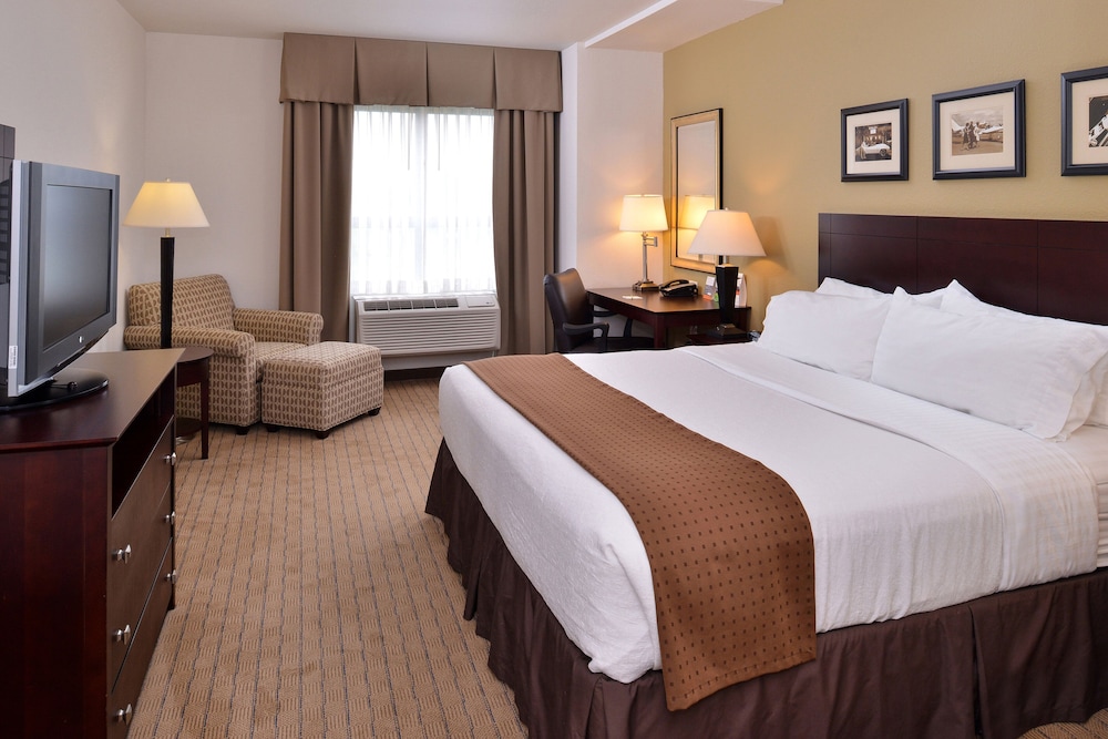Holiday Inn Madison at The American Center by IHG - photo 14