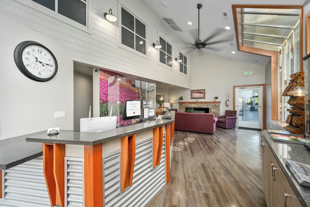 Cocusa Motel - photo 4