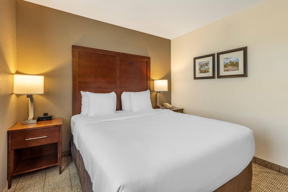 Comfort Inn & Suites Aztec Farmington Area - photo 24