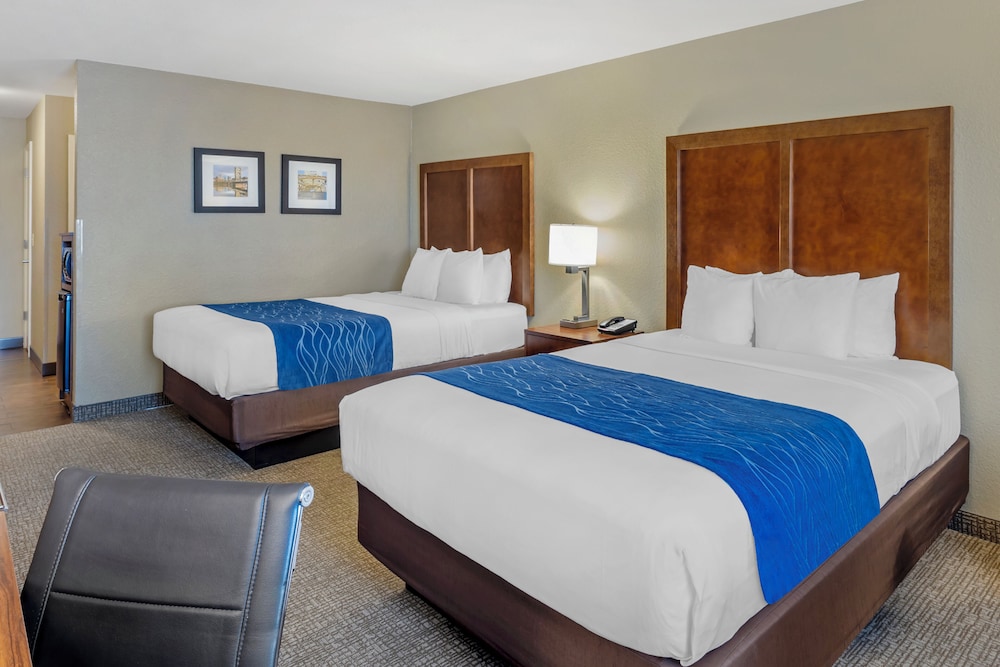 Comfort Inn & Suites Rocklin Roseville - photo 6
