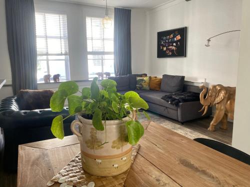 Historical loft — 4-Star Luxury Hotel in Middelburg, Netherlands