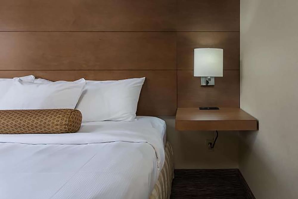Yuma Inn & Suites - photo 12