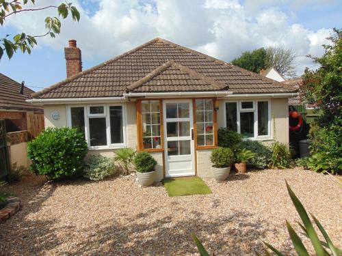 Dolphins in Pevensey, United Kingdom