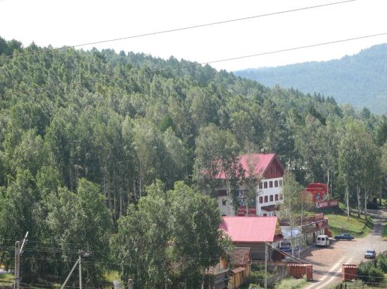 33 Bears in Abzakovo, Russia