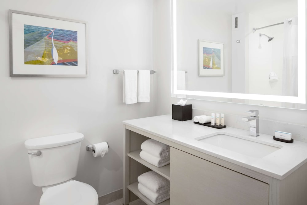 Embassy Suites by Hilton Tampa Airport Westshore - photo 38