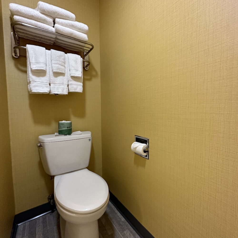 Timberland Inn & Suites - photo 88