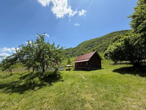 Bujtina Frati in Unknown City, Albania
