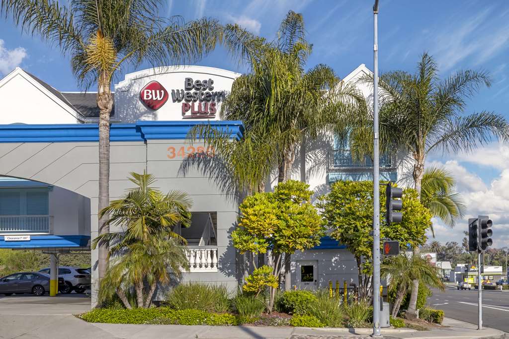 Best Western Plus Marina Shores Hotel - photo 14