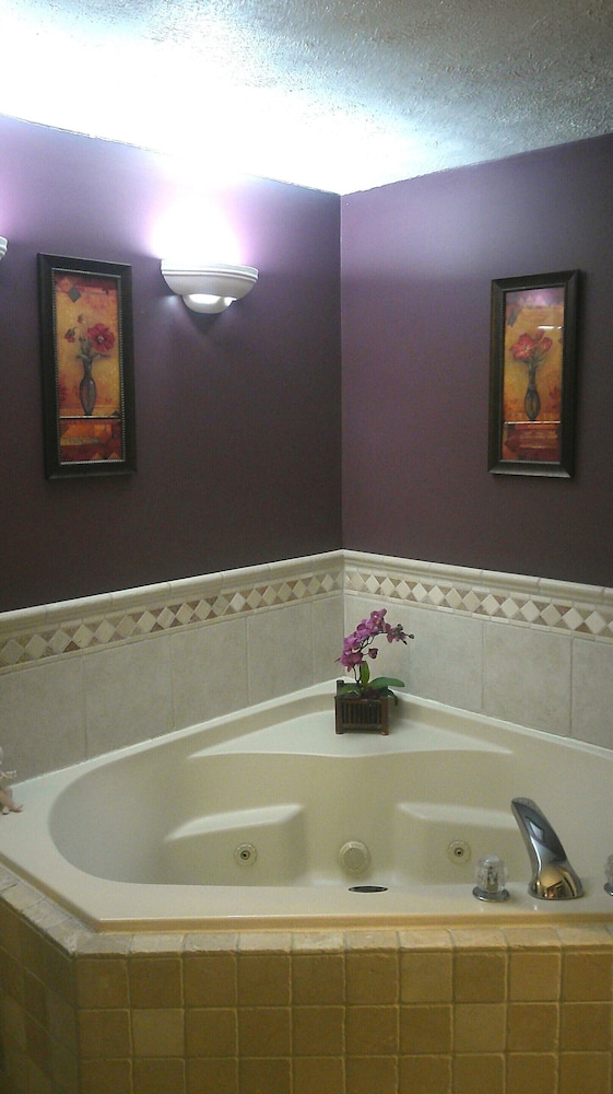 Lil Black Bear Inn - photo 102