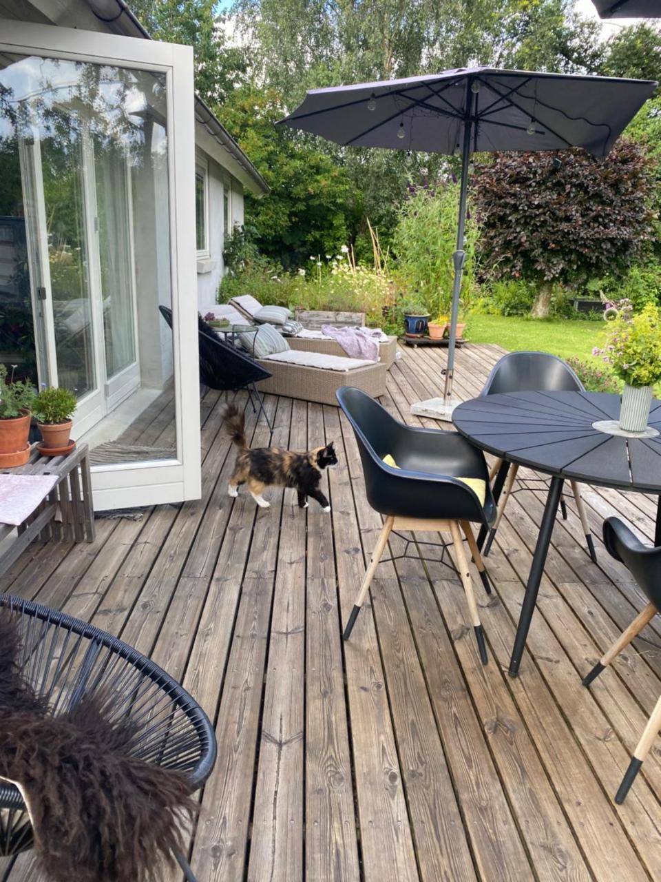 Højvangen — Skanderborg — photo 4